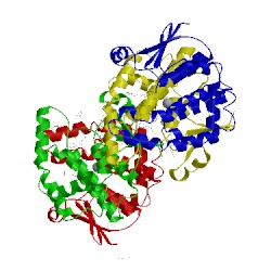 Image of CATH 2cvd