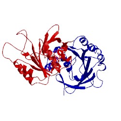 Image of CATH 2cvf