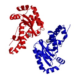 Image of CATH 2cw2