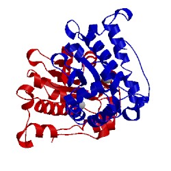 Image of CATH 2cw3