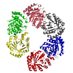 Image of CATH 2cw6