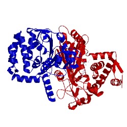 Image of CATH 2cwf
