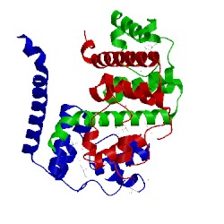 Image of CATH 2cwq