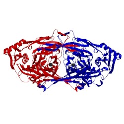 Image of CATH 2cwt