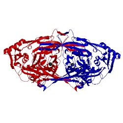 Image of CATH 2cwu