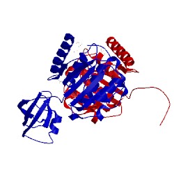 Image of CATH 2cx8