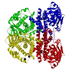 Image of CATH 2cx9