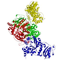 Image of CATH 2cxe