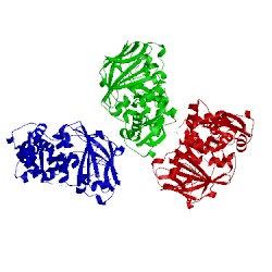 Image of CATH 2cxi