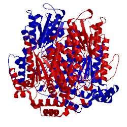 Image of CATH 2cxn