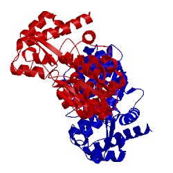 Image of CATH 2cyb