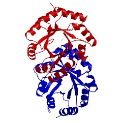 Image of CATH 2cz5