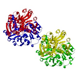 Image of CATH 2d0i