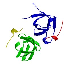 Image of CATH 2d0n
