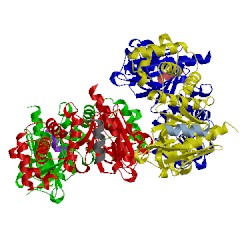 Image of CATH 2d11