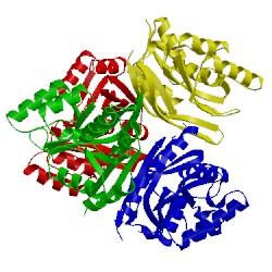 Image of CATH 2d13