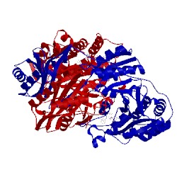 Image of CATH 2d1c