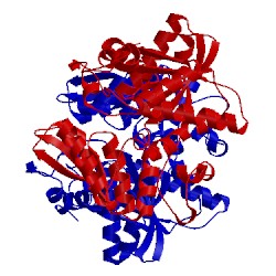 Image of CATH 2d1f