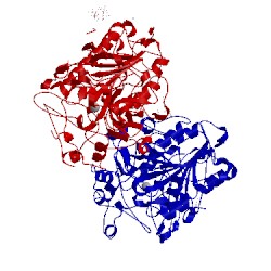 Image of CATH 2d1g
