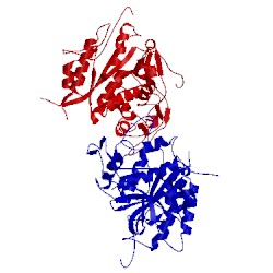 Image of CATH 2d1i