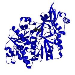 Image of CATH 2d1t