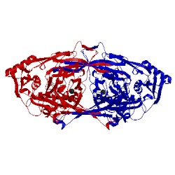 Image of CATH 2d1w