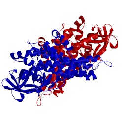 Image of CATH 2d29