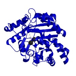 Image of CATH 2d2h