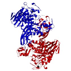 Image of CATH 2d2o