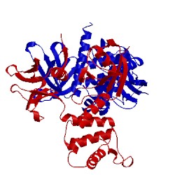 Image of CATH 2d2q
