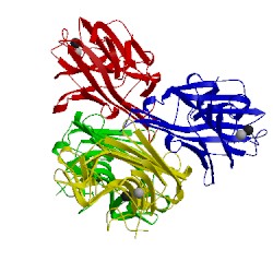 Image of CATH 2d3p