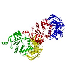 Image of CATH 2d3w