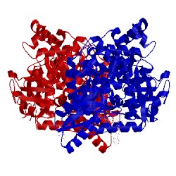 Image of CATH 2d41