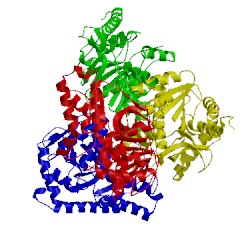 Image of CATH 2d4a