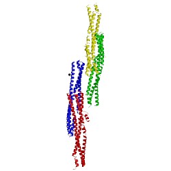 Image of CATH 2d4c