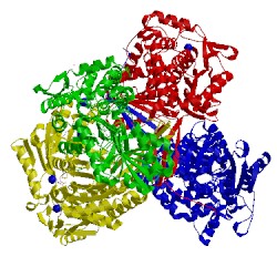 Image of CATH 2d4e