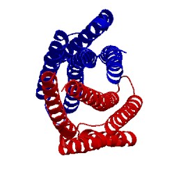 Image of CATH 2d4u