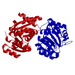 Image of CATH 2d5c