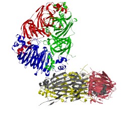 Image of CATH 2d5h