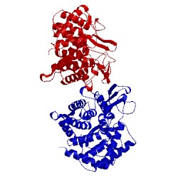 Image of CATH 2d5j