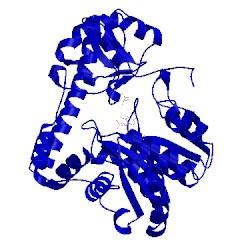 Image of CATH 2d5y