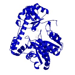 Image of CATH 2d61