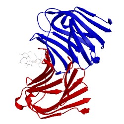 Image of CATH 2d6p
