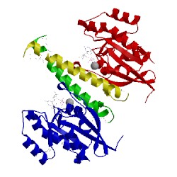 Image of CATH 2d7c