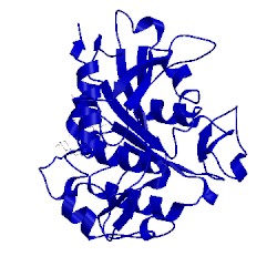 Image of CATH 2d80