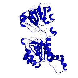 Image of CATH 2dbq