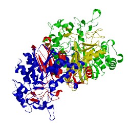 Image of CATH 2dbx