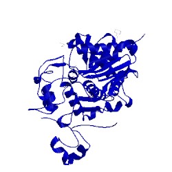 Image of CATH 2dcf