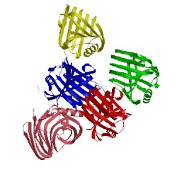 Image of CATH 2dcy