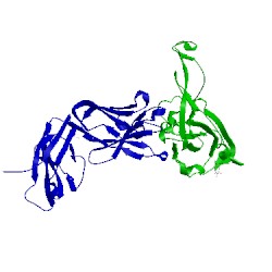 Image of CATH 2dd8